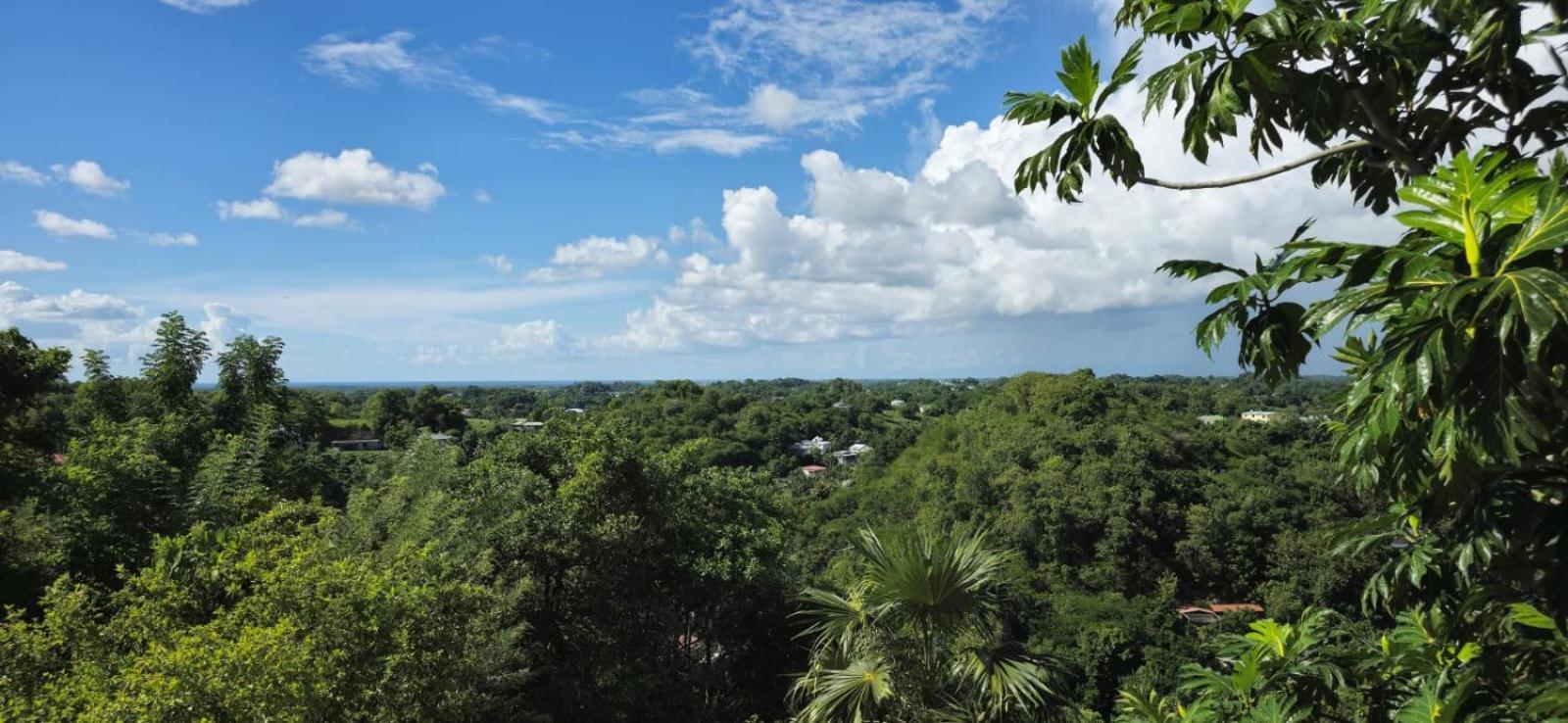 Maison Du Soleil Les Abymes Eksteriør bilde